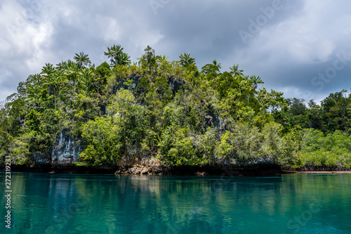 Waigeo  Kri  Mushroom Island  group of small islands in shallow blue lagoon water  Raja Ampat  West Papua  Indonesia