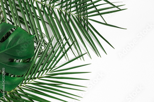 Summer composition. Tropical palm leaves on white background. Summer concept....
