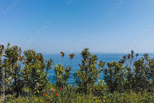 Seascape of coastline of town of Nea Fokea, Kassandra, Chalkidiki, Central Macedonia, Greece photo