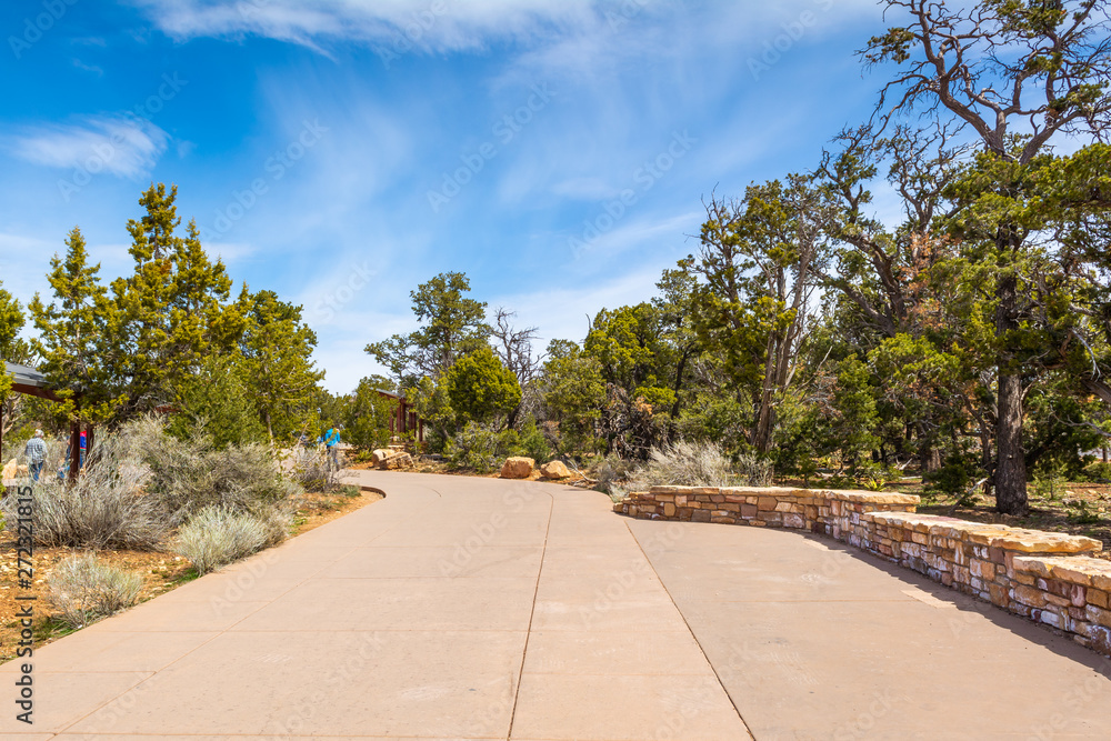 Path along green vegetation in Grand Canyon Village. Arizona, USA
