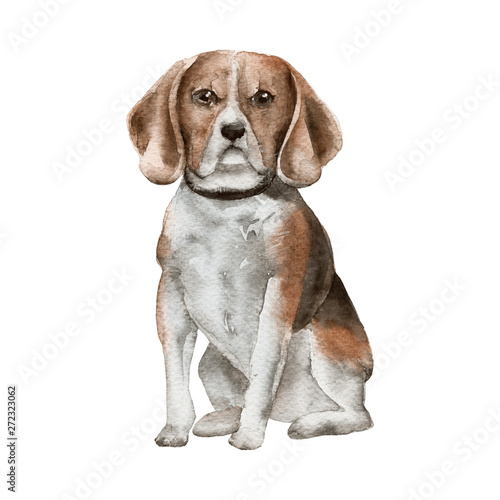Fototapeta Naklejka Na Ścianę i Meble -  Drawn little dog. Isolated on white background.