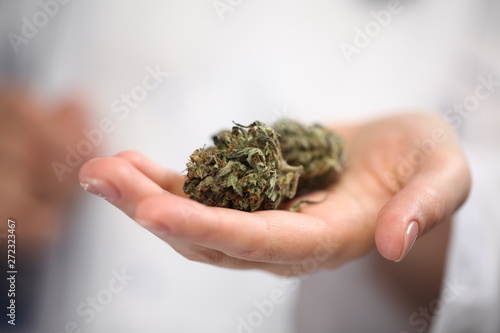 doctor hand hold and offer to patient medical marijuana and oil. Cannabis recipe for personal use, legal light drugs prescribe, alternative remedy or medication,medicine concept © Elroi