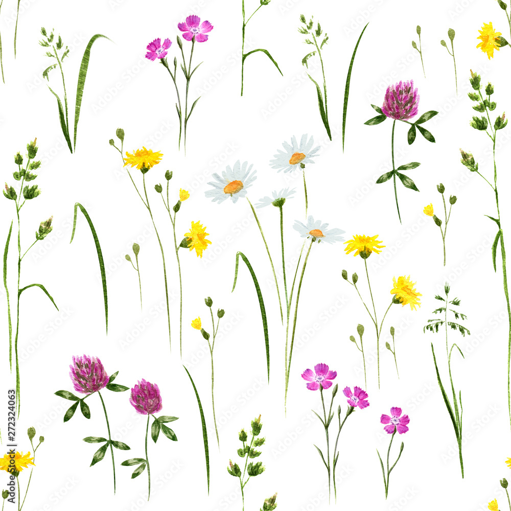 Seamless floral wildflowers pattern. Hand drawn watercolor