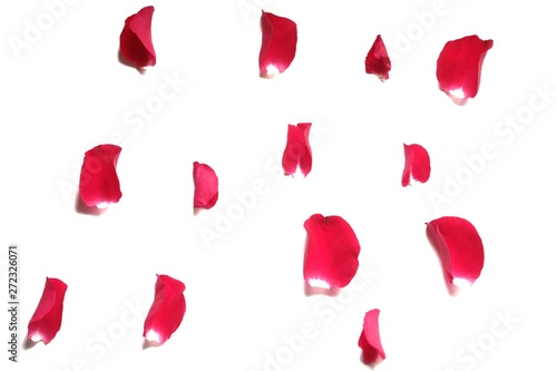 In senlective focus a group of red rose corollas on white isolated background 