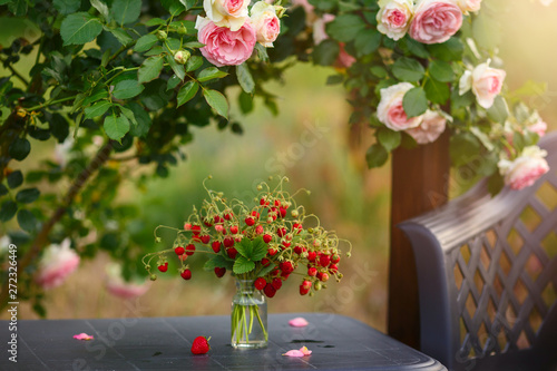 A beautiful garden with blooming roses  tasty wild strawberries and a chair.