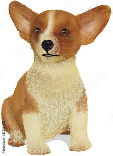 sitting vector purebred puppy