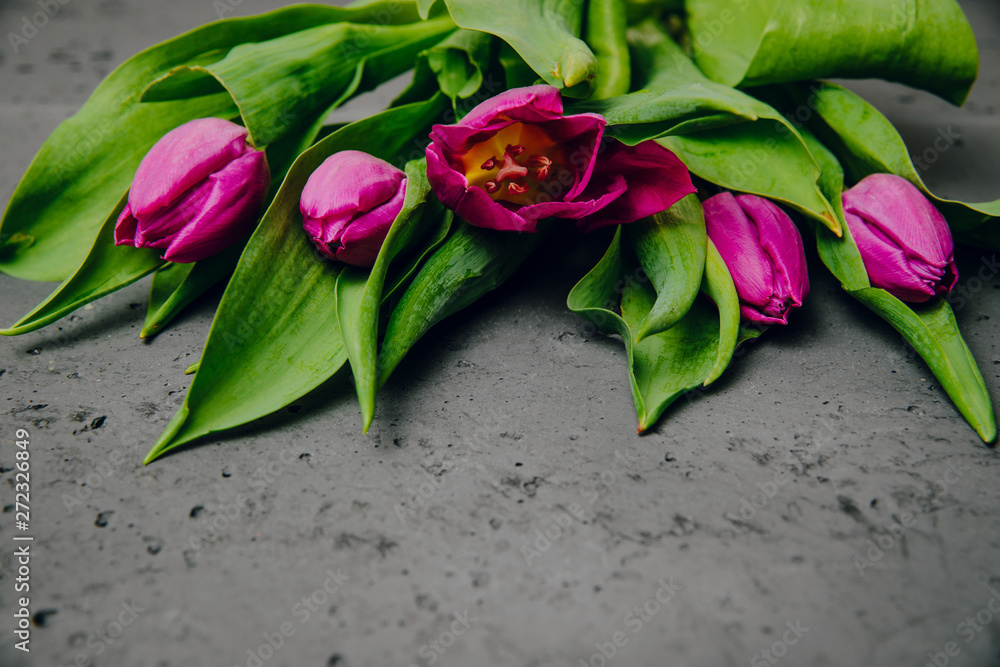 Top view of violet tulips on a stone. The concept of handing flowers to a woman, girl. Beautiful tulips and flowers, mother's day, women's day. Top view of violet tulips on a stone. The concept of handing flowers to a woman, girl. Beautiful tulips and flowers, mother's day, women's day.