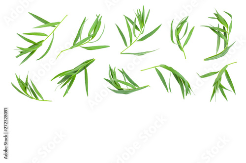tarragon or estragon isolated on white background with copy space for your text. Artemisia dracunculus. Top view. Flat lay