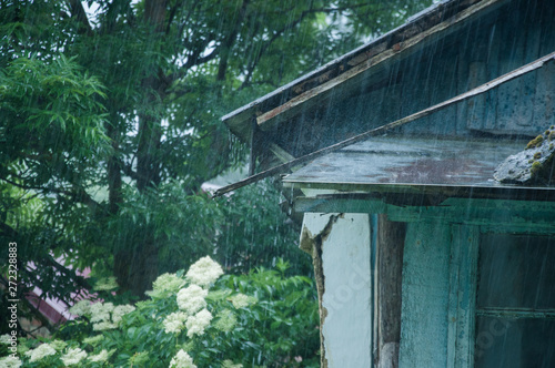 Part of an old house in the village. Around the trees. It is pouring rain. Overcast weather.