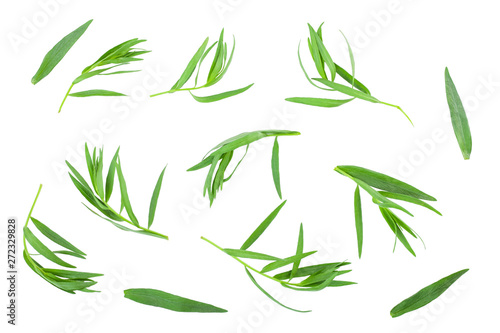 tarragon or estragon isolated on a white background. Artemisia dracunculus. Top view. Flat lay © kolesnikovserg