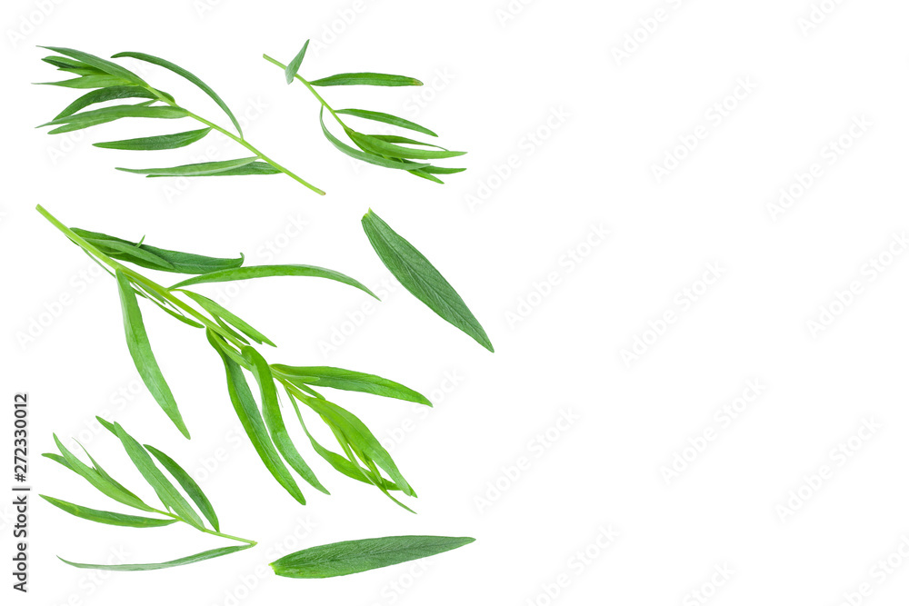 Obraz premium tarragon or estragon isolated on white background with copy space for your text. Artemisia dracunculus. Top view. Flat lay
