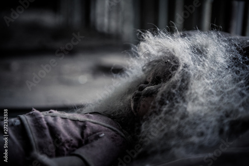 Doll at Chernobyl exclusion zone