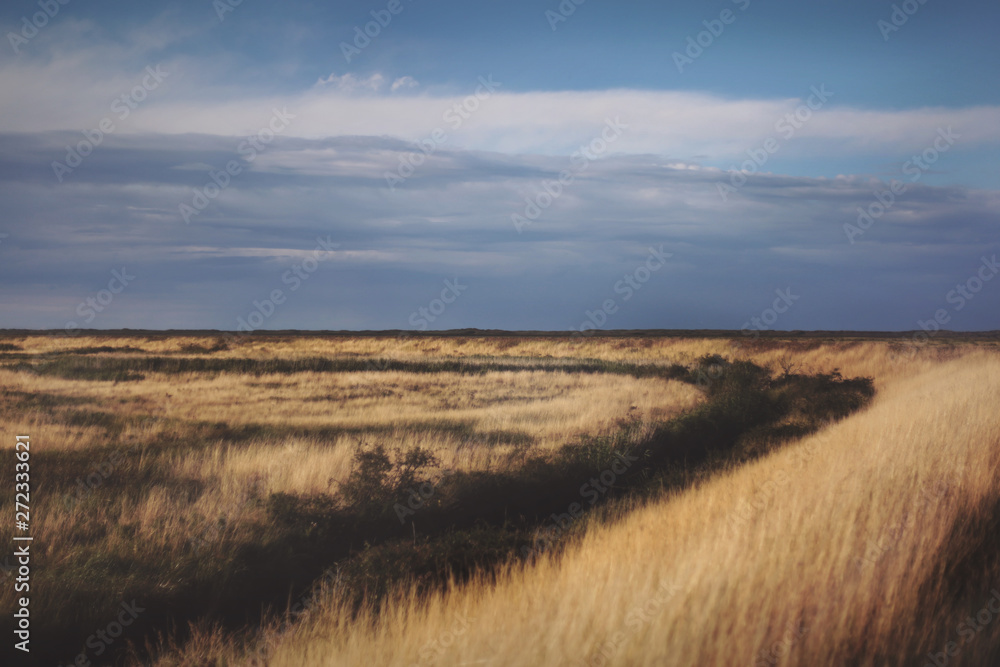 Fototapeta premium Norfolk fenlands, England