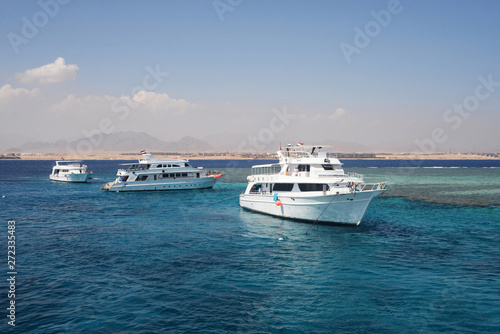 yacht ship white sea red in Egypt