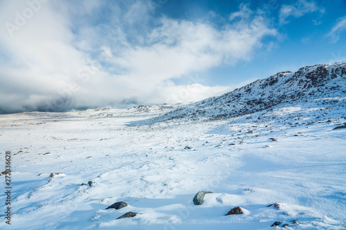 Snow landscape