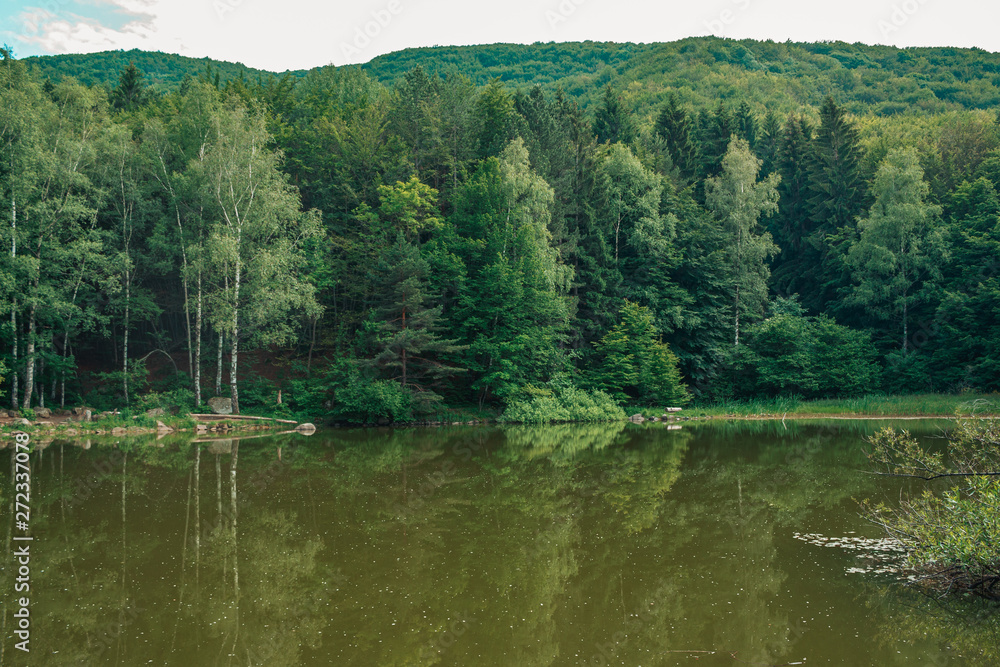 forest and lake landscape in mountain in bulgaria forest and lake landscape in mountain in bulgaria