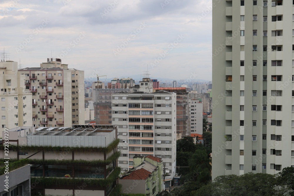 view of são paulo city