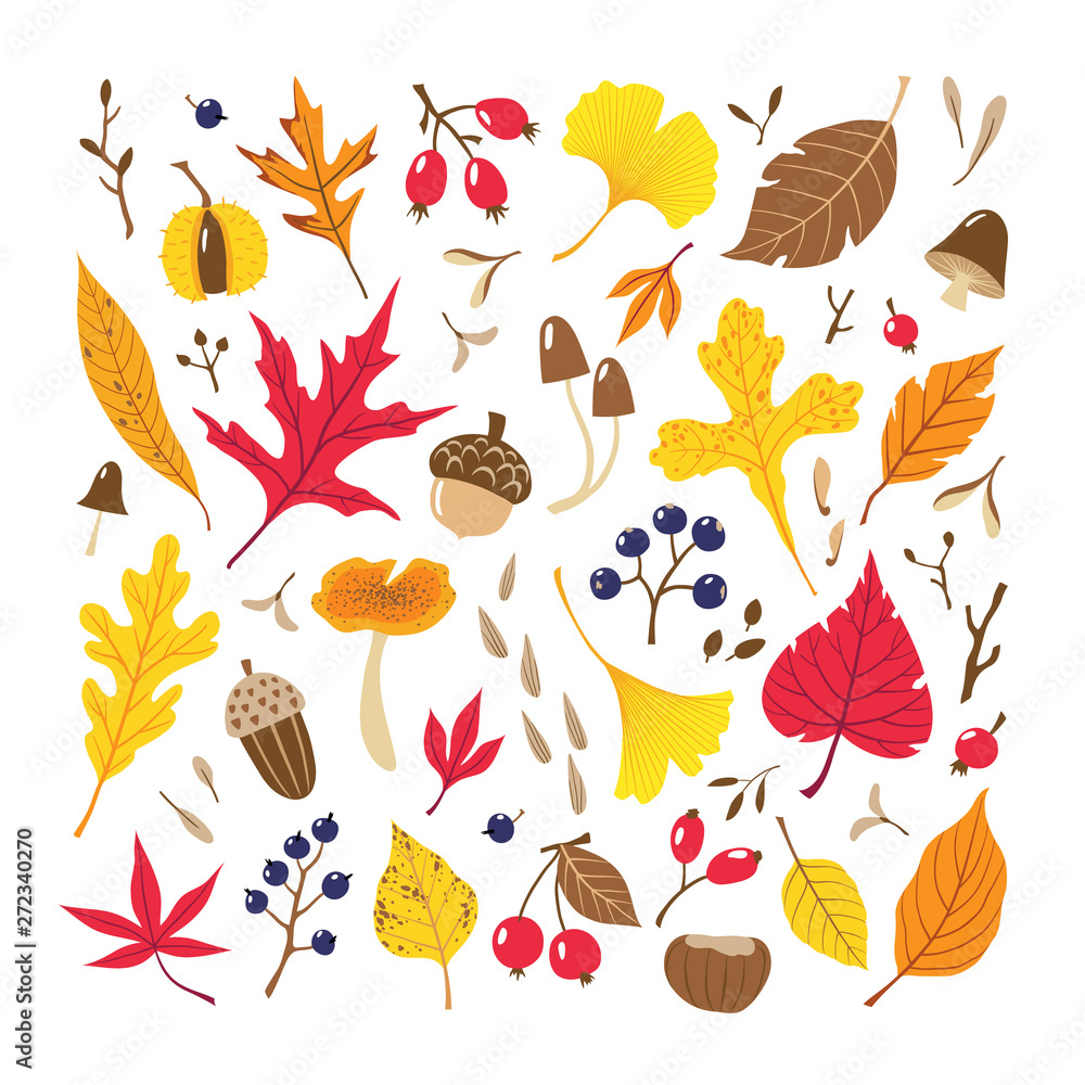 Φωτογραφία Set of colorful autumn leaves, berries, seeds and mushrooms isolated on white background