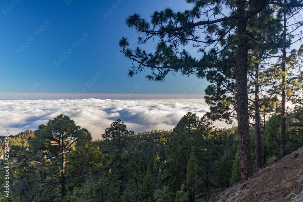 magical sunset above the clouds in the Tenerife mountains in Canary Islands magical sunset above the clouds in the Tenerife mountains in Canary Islands