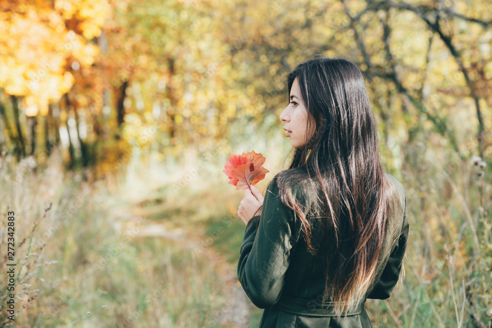 Naklejka premium Female beauty portrait surrounded by vivid foliage. Dreamy beautiful girl with long natural black hair on autumn background with colorful leaves in bokeh. Fallen leaves in girl hands in autumn forest.