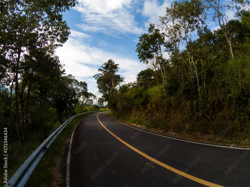 Fototapeta premium Landscape in countryside road