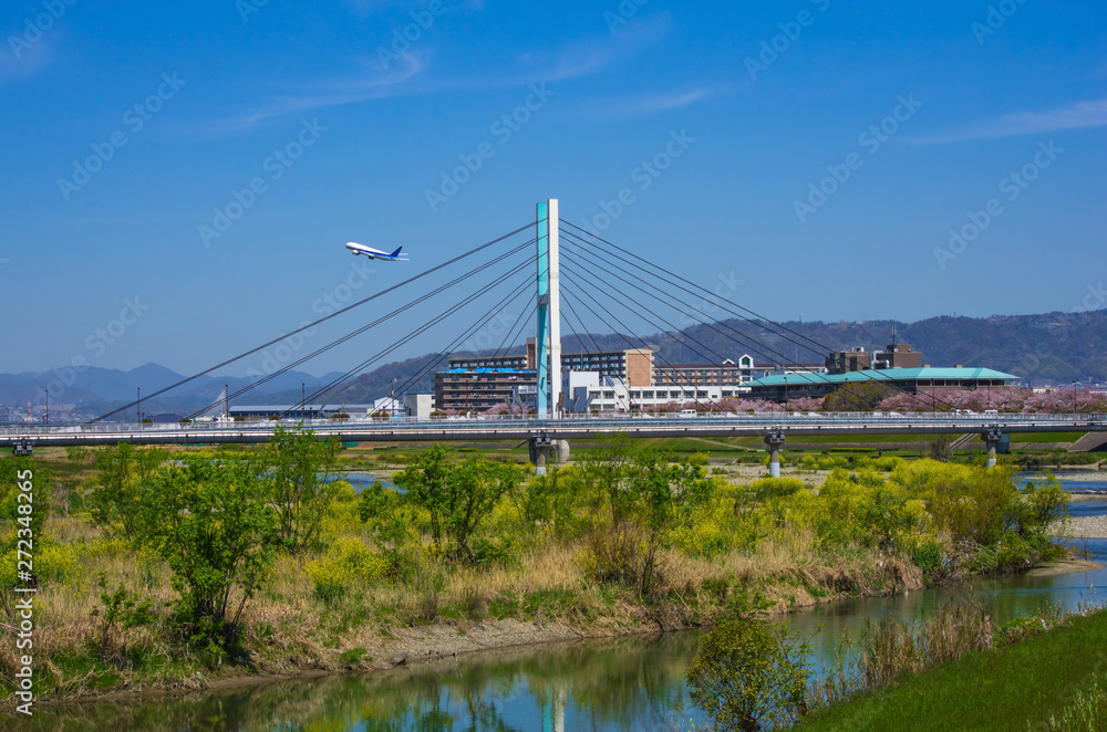 桜と葉の花の咲く猪名川・神津大橋と離陸する飛行機の見える風景