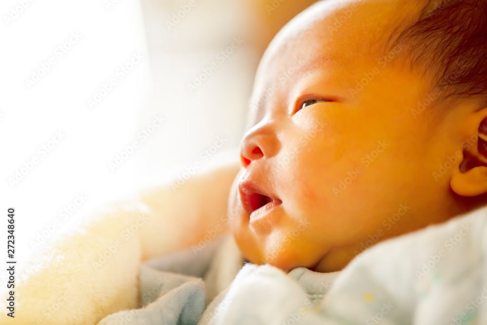 生後2週間の赤ちゃんの横顔 Stock Photo Adobe Stock