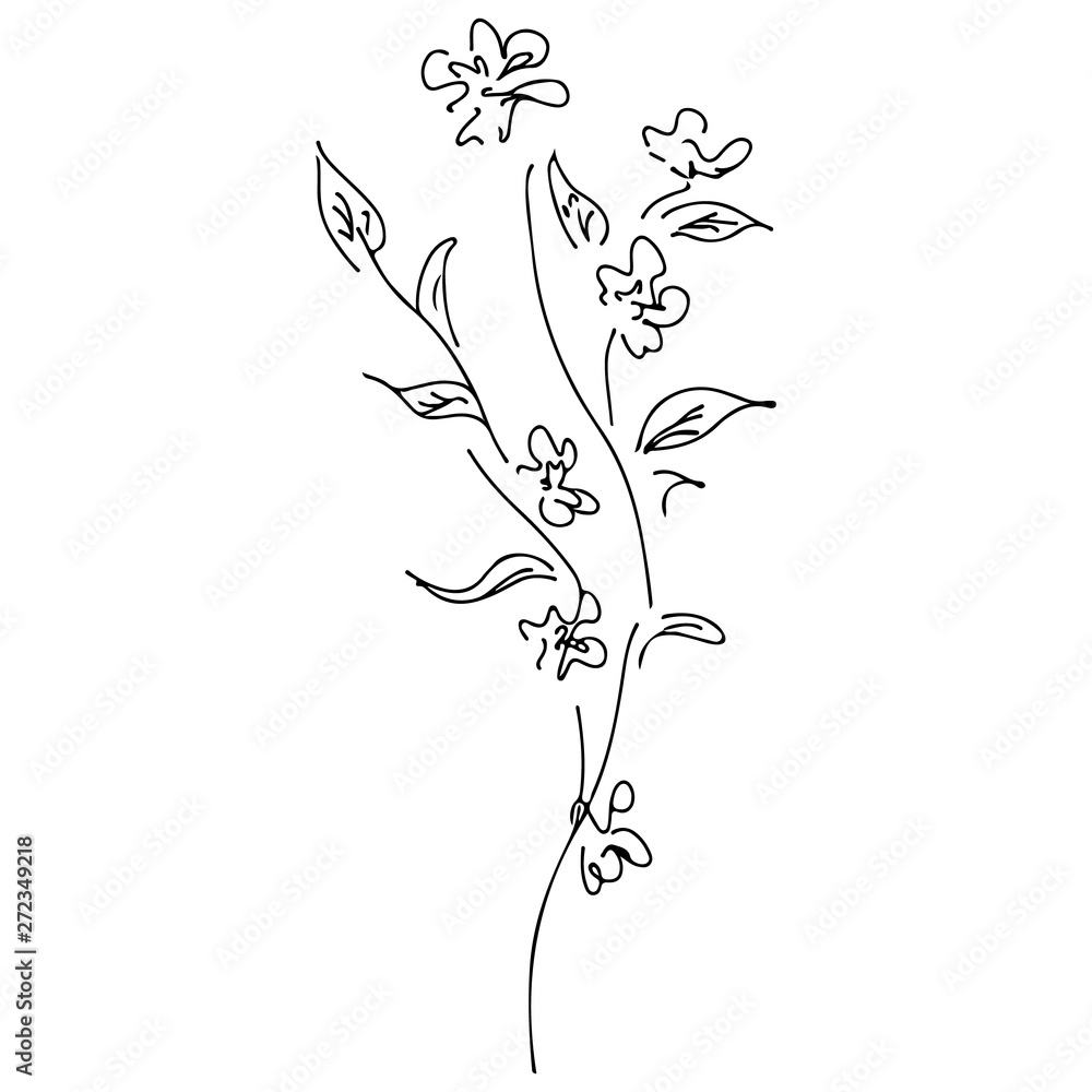 Abstract wildflowers outline icon isolated on white background. Creative luxury fashion logotype concept icon. Hand Drawn vector illustration. Wildflower logo. Sketch