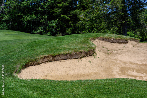 Wallpaper Mural Trouble on the golf course, sand trap protecting a golf green with trees in the background Torontodigital.ca