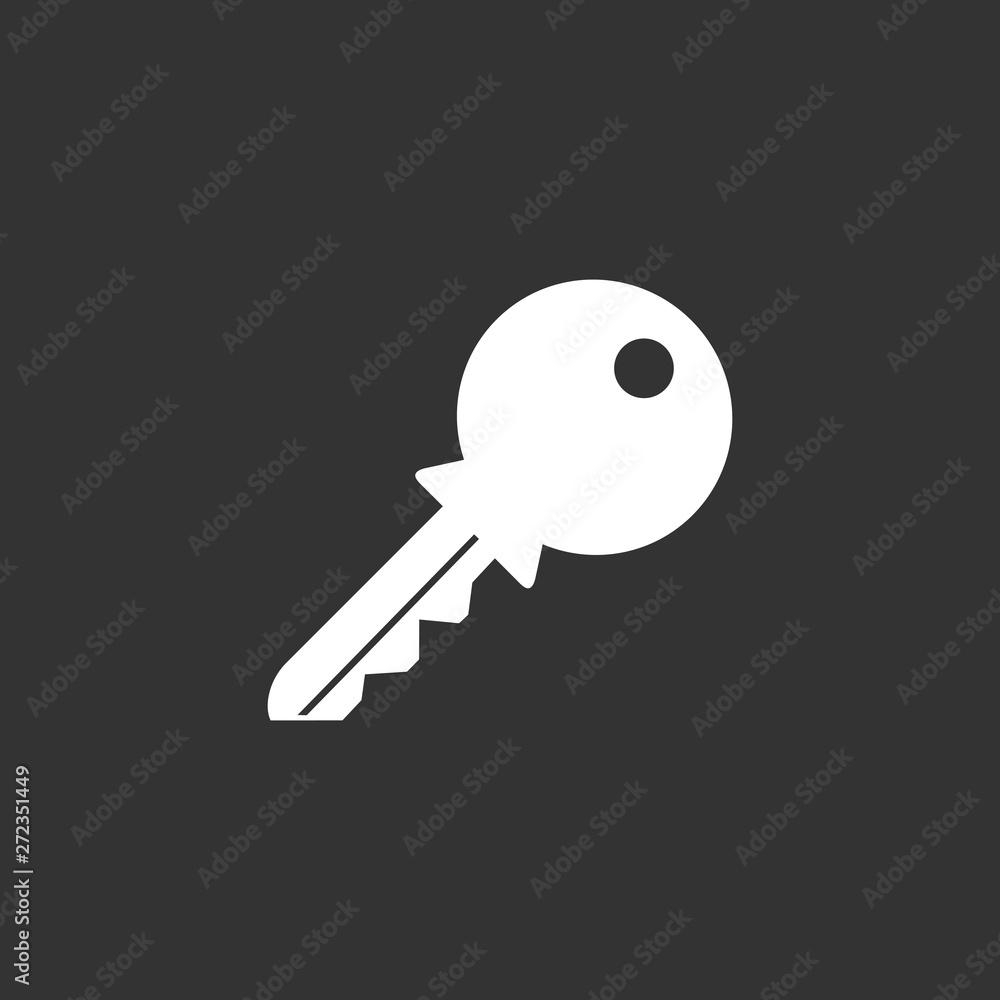Key icon vector