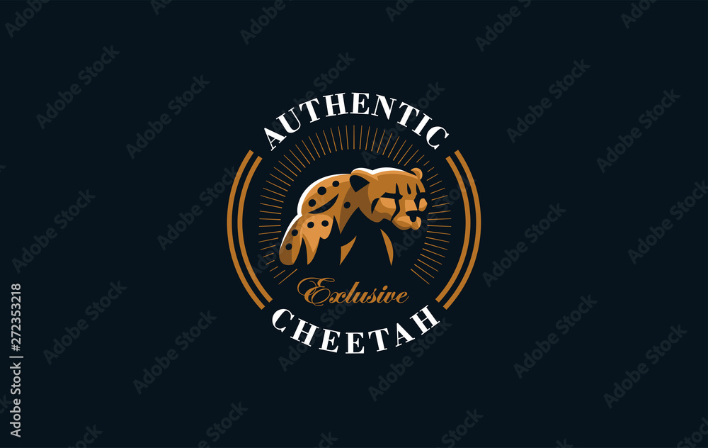 Fototapeta premium The image of a cheetah.