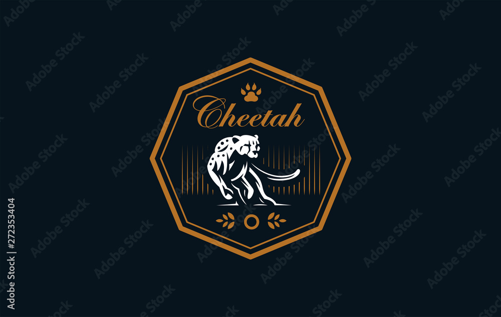 The image of a cheetah. The image of a cheetah.