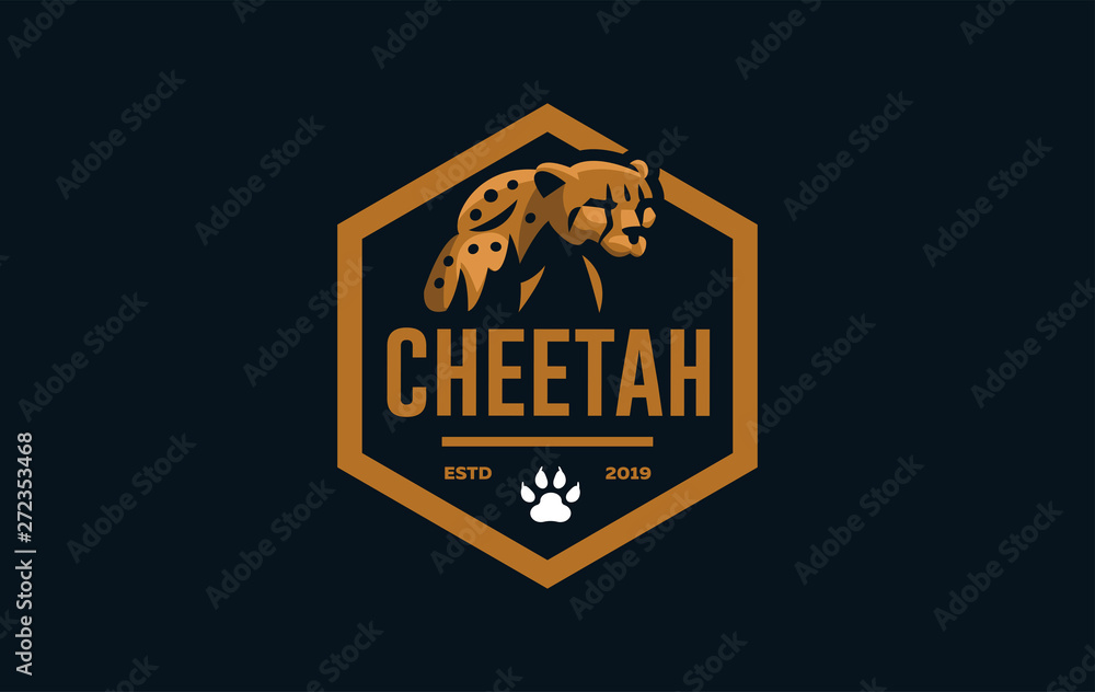 The image of a cheetah. The image of a cheetah.