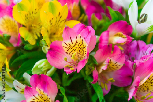 close up  Alstroemeria flowers bouquet blurred background photo