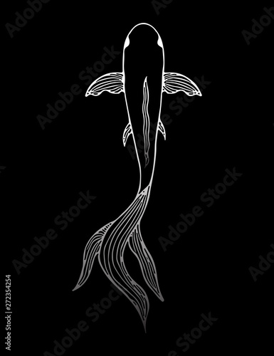 Abstract hand drawn carp fish isolated on black background. Hand drawn koi fish. Japanese carp. Top view