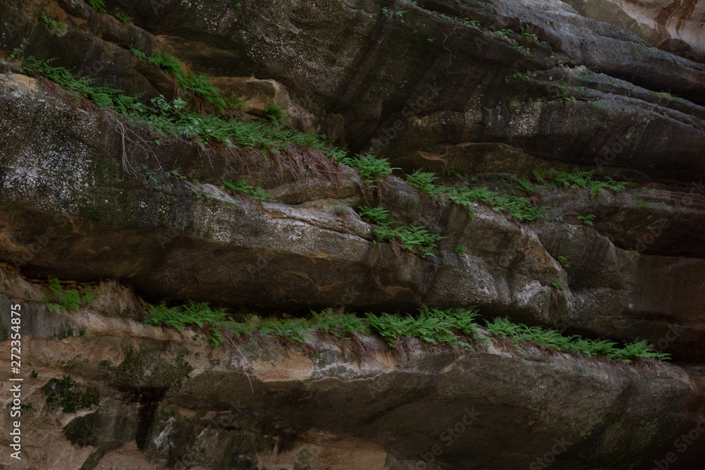 Fototapeta premium Starved Rock State Park, Illinois