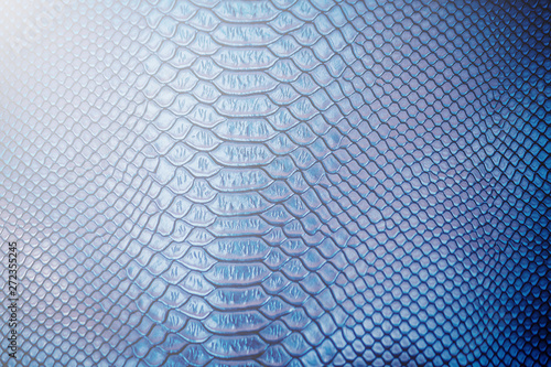 Close up of Luxury snake skin texture