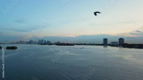 Wallpaper Mural Miami downtown drone shot at dusk, over the intracoastal with a flock of birds in slow-motion. Torontodigital.ca