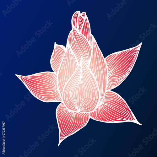 Abstract hand drawn lotus flower.  illustration. Outline sketch. Top view