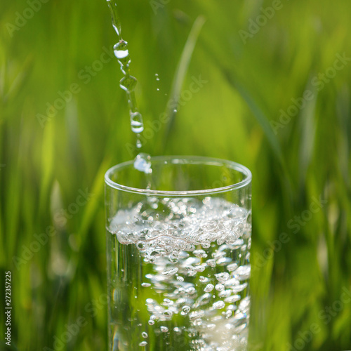 glass of water on the background of greenery, macro shot, pouring water