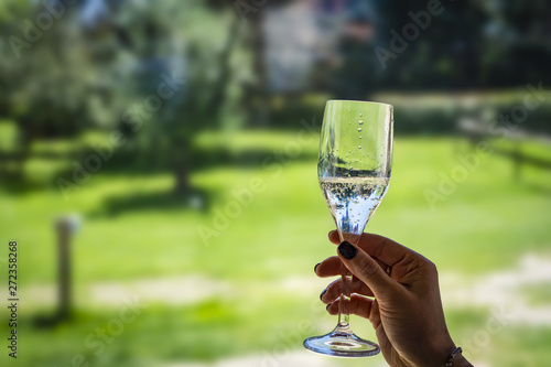 champagne in glass in the gras background