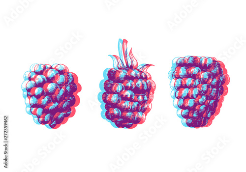 Hand drawn illustration of blackberry isolated on white background. Vector engraving fruit sketch. Anaglyph 3d stereo effect.