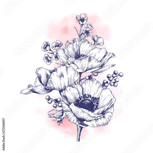 Elegant flower arrangement with anemone. Vector hand drawn floral design element.