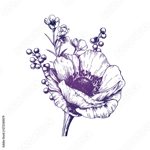 Hand drawn anemone boutonniere.  Isolated outline flowers against white background.