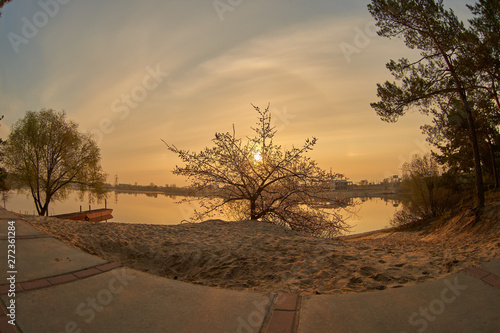 sunset sunrise tree sand beach
