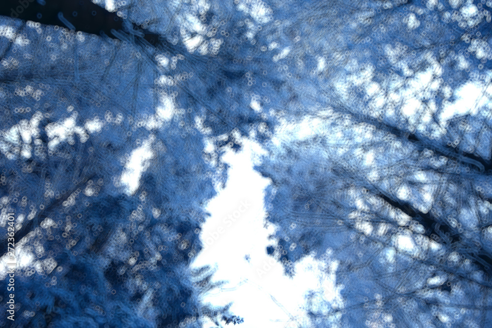 abstract forest blurred winter vertical lines / winter forest background, abstract landscape abstract forest blurred winter vertical lines / winter forest background, abstract landscape