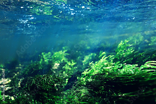 underwater mountain clear river   underwater photo in a freshwater river  fast current  air bubbles by water  underwater ecosystem landscape