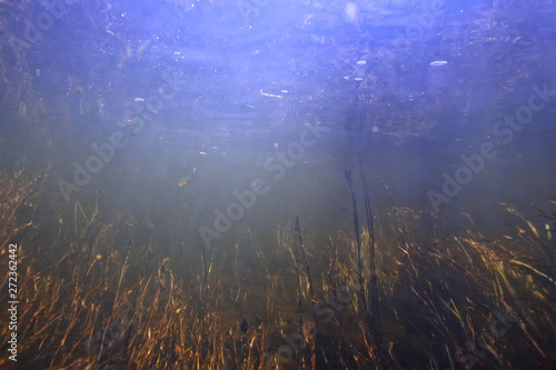 sunbeams underwater photo / texture underwater landscape with sun rays, blue water sun in the ocean