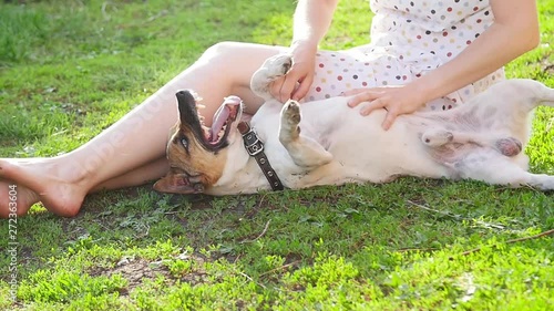 Concept of pets and outdoor recreation. Young woman playing with dog Jack Russell Terrier