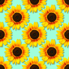 Sierkussen Turquoise patronen Zonnebloemen op blauwe achtergrond patroon  © esvetleishaya